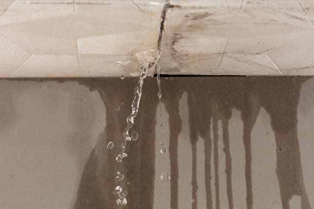Professional Water Damage Inspection technician working in Van, TX